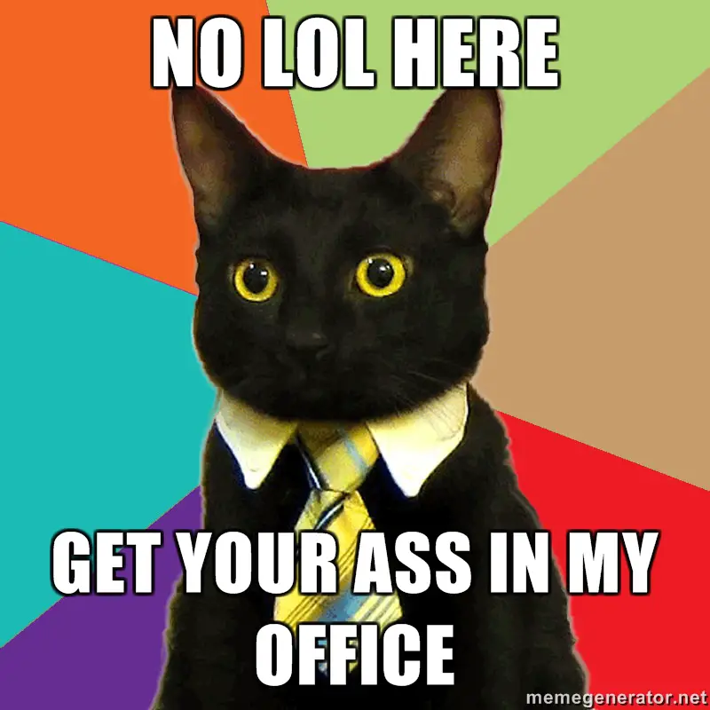 business cat is no joke